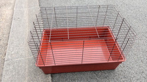 Cage cochon inde - cage, à