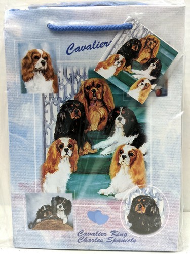 Cavalier king charles spaniel - king,