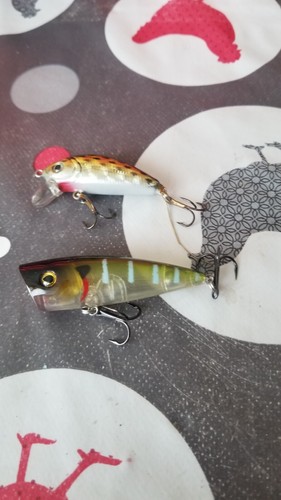 Leurres pêche pour - de,