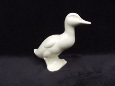 ancien canard caneton