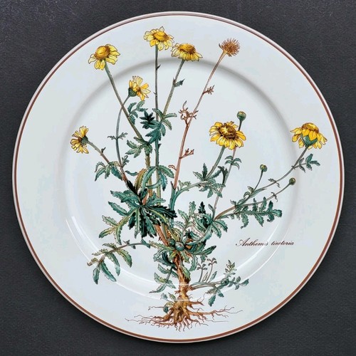Sublime assiette plate - assiette,