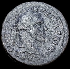 Sesterce A La Louve Macrin