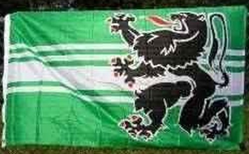 Flag east flanders - east, ft