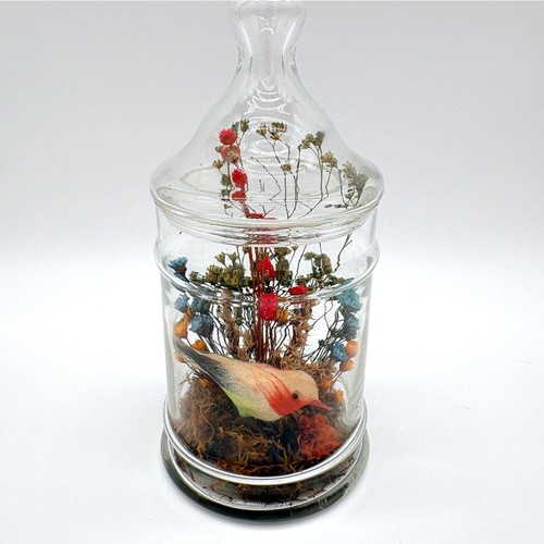 Vintage glass apothecary - vintage,