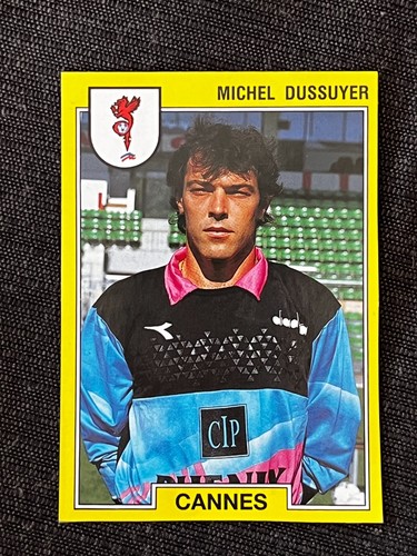 Vignette sticker panini foot - panini,