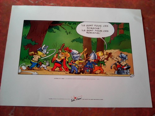Sérigraphie astérix corse - en,
