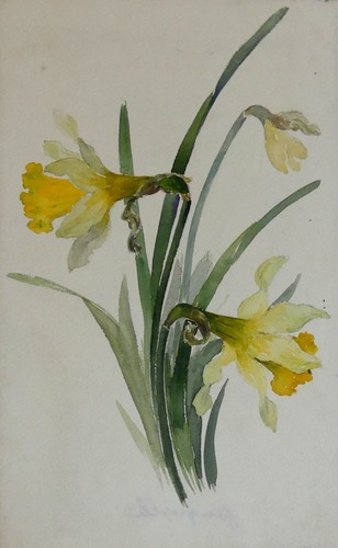 Aquarelle ancienne fleurs fin - ancienne,