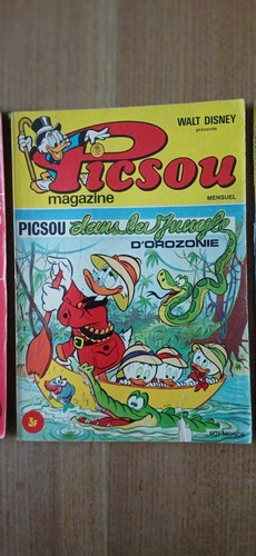 Lot picsou magazine n - lot,