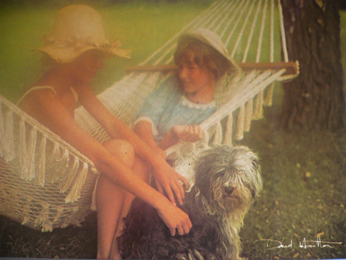 Carte postale david - postale,