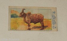 Image CHROMO RI-RI DEMARET 