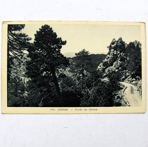 Cpa forêt zonza alta - 20, de