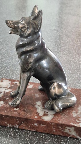 Chien berger allemand - chien, en