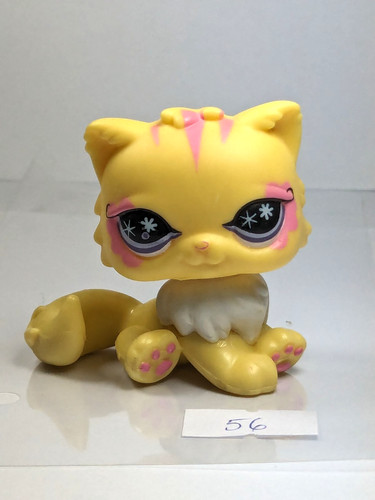 Petshop chat persan 878 - , 56