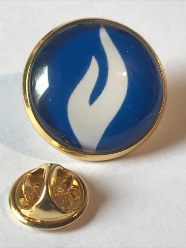 Gros pin 2cm - pin's, doré