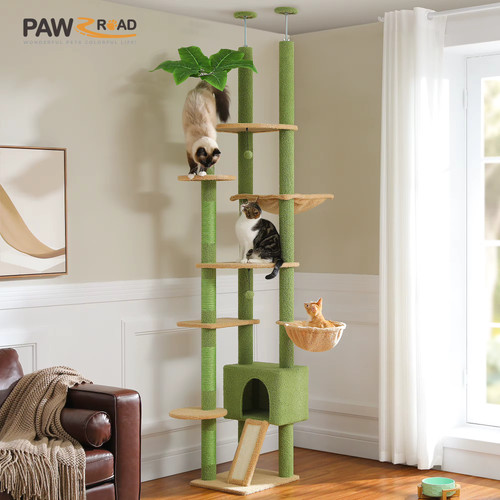 Arbre chat cactus sol plafond - chat,