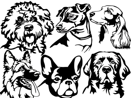 Dog faces - dog,