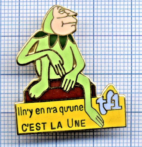 Pin tf1 une kermitterrand - tf1,