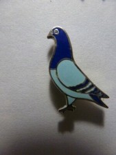 pin's pin pigeon voyageur