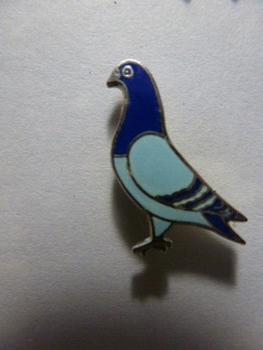 Pin pigeon traveler - pin,