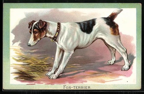 Carte postale gaufrée - , fox