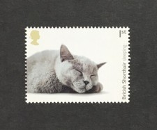 Cats British Shorthair GB 1st Class MNH 2022 Stamp - Postage Combined
