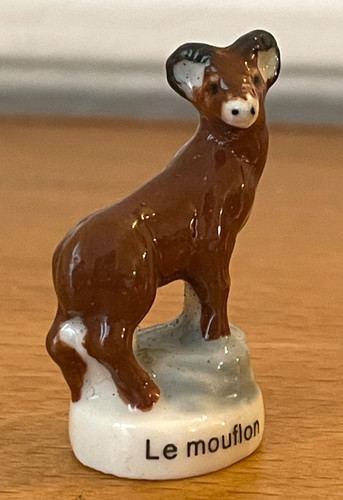 Magnifique fève mouflon - fève, le