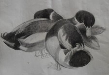 Hélène Rivière (1896-1977)