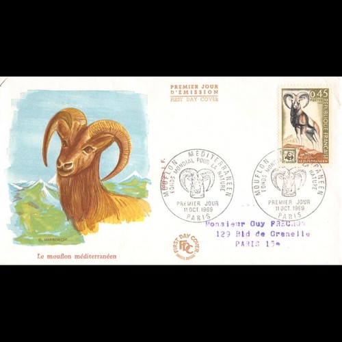 Fdc mouflon - v2,