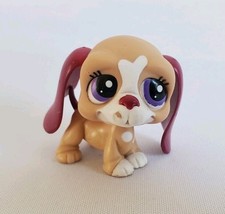LPS Petshop Hasbro #1785