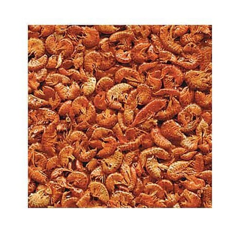 Gammarus aliment naturel - naturel, pour