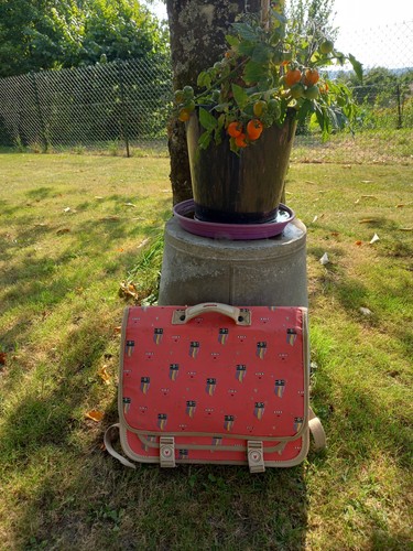 Superbe sac école trousse - sac, +