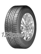 Pneu hiver Zeetex WP1000