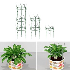 Cage de Support Plante enduite