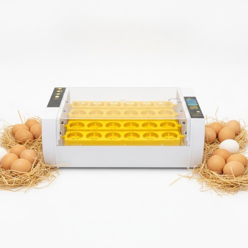 œufs automatique couveuse - automatique,