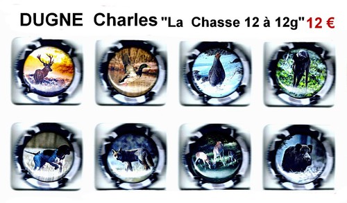 Capsules champagne dugne - capsules,