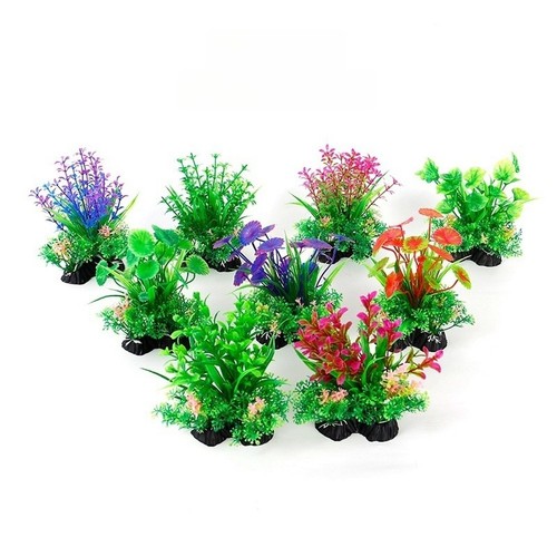 Plantes aquatiques