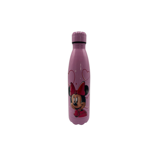 Gourde métal minnie mouse - gourde,