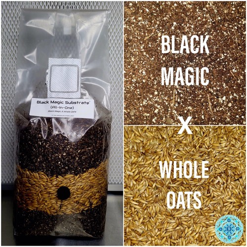 Premium exotic dung all one - exotic,