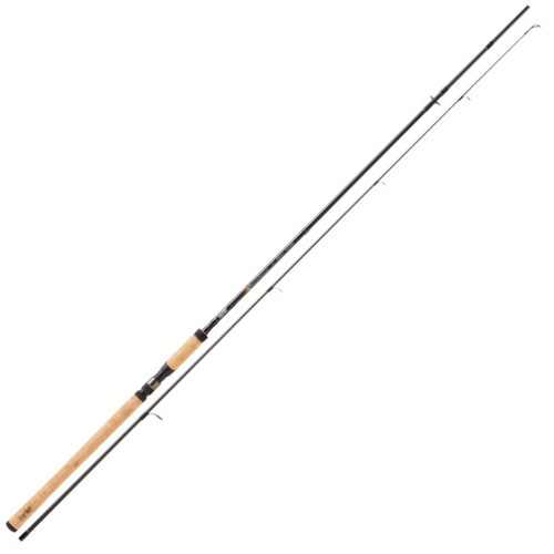 Canne pêche spinning en - pêche,