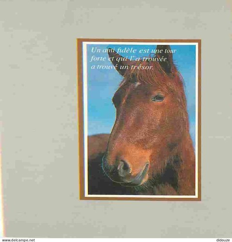 Postcard animals horses - horses,