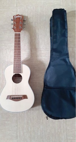 Eagletone guitare acoustique