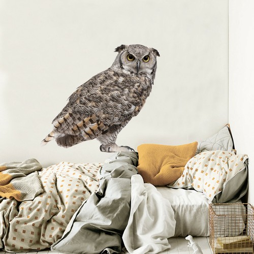 Chouette douce c93 animal - 3d,