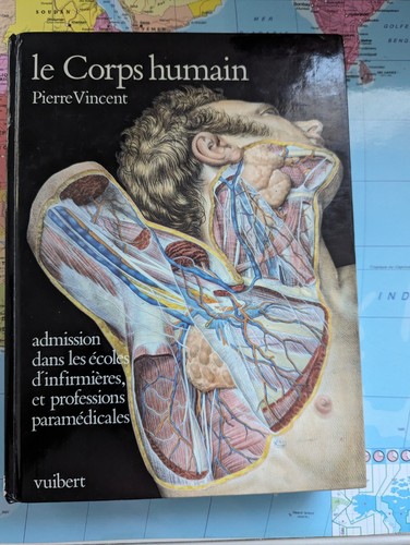 Corps humain - corps,