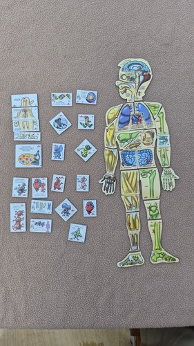 Magnifique rare lot magnet - rare,