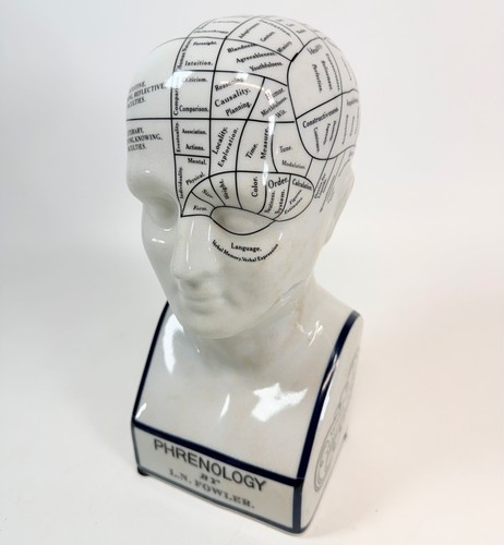 Ceramic phrenology head bust - ceramic,