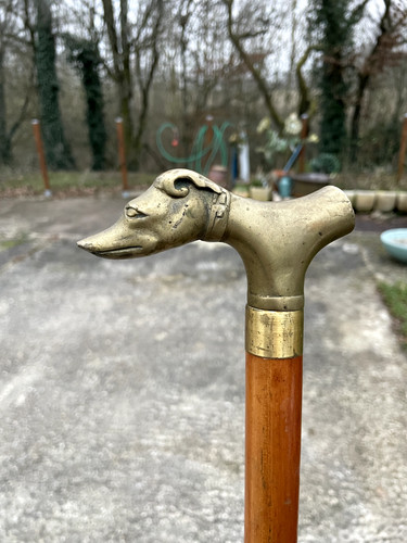 Canne chien système - chien, ou