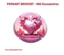 NEWS - CAPSULE DE CHAMPAGNE -