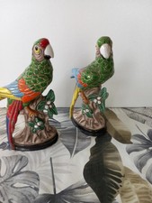 ravissante paire de perroquets