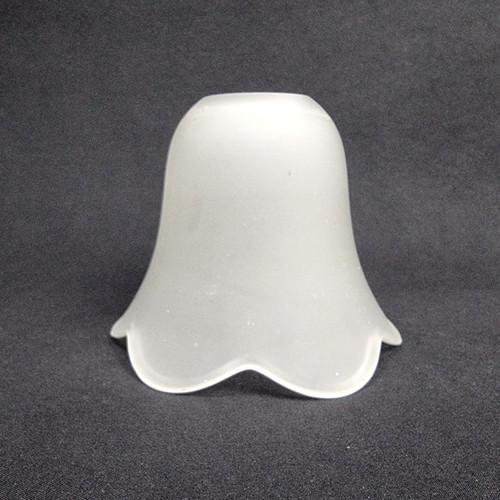 Globe lampe verre dépoli - lampe,