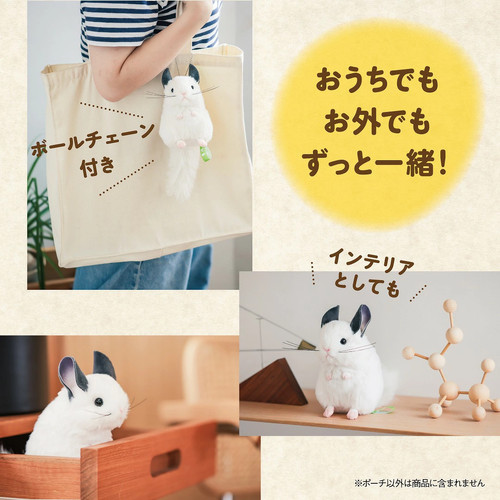 Yoshitoku chinchilla lanigera - chinchilla,